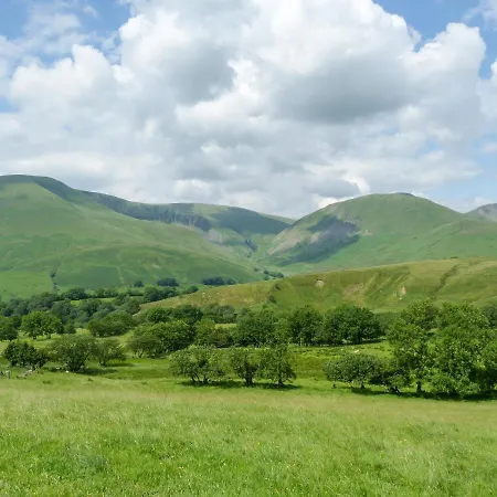 Pine * Sedbergh