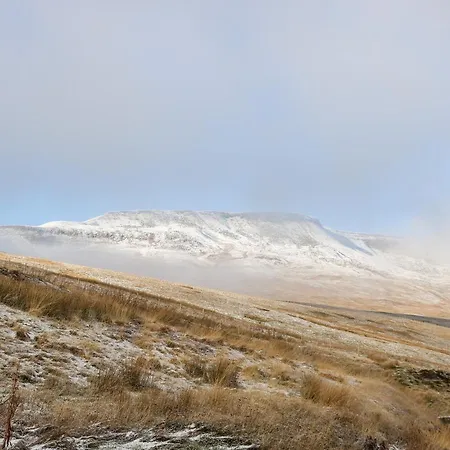 Pine Sedbergh