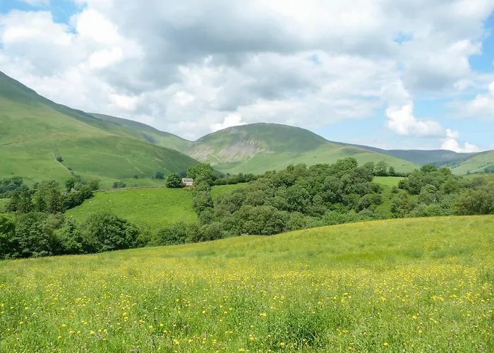 Casa de Férias Pine